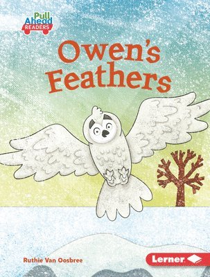 Owen's Feathers 1