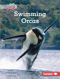 bokomslag Swimming Orcas
