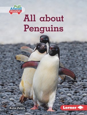 Katie Peters - All about Penguins, Inbunden