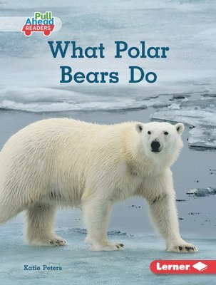bokomslag What Polar Bears Do