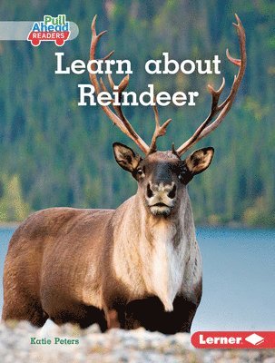 Katie Peters - Learn about Reindeer, Inbunden