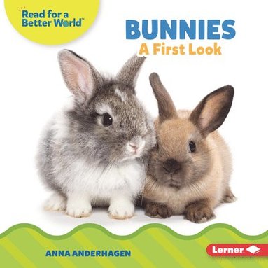 bokomslag Bunnies