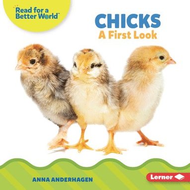bokomslag Chicks