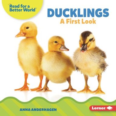 bokomslag Ducklings