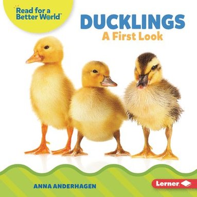 bokomslag Ducklings: A First Look