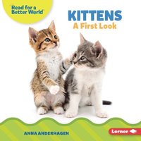 bokomslag Kittens: A First Look