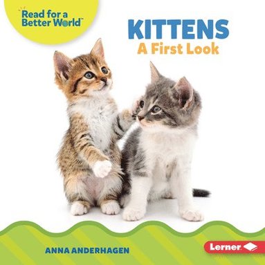 bokomslag Kittens