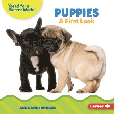 Puppies: A First Look 1