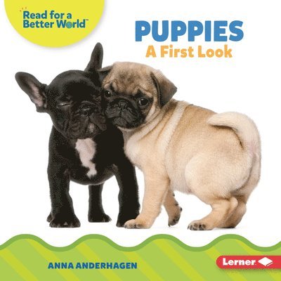 Anna Anderhagen - Puppies: A First Look, Inbunden