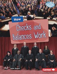 bokomslag How Checks and Balances Work