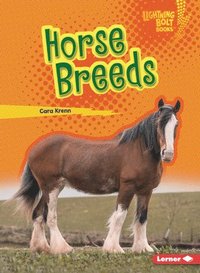 bokomslag Horse Breeds