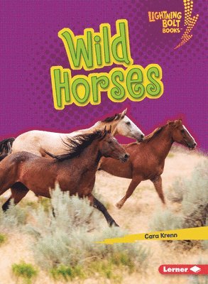 Wild Horses 1