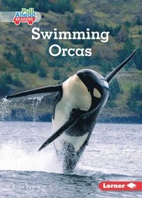 bokomslag Swimming Orcas