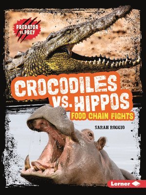 bokomslag Crocodiles vs. Hippos