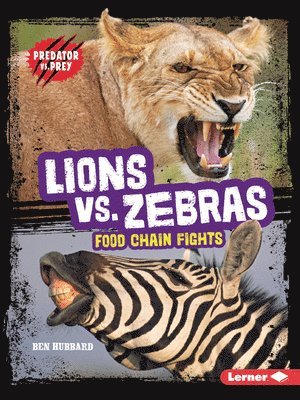 Lions vs. Zebras: Food Chain Fights 1