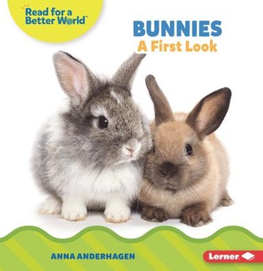 bokomslag Bunnies: A First Look