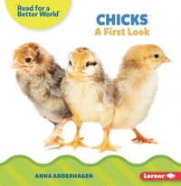 bokomslag Chicks: A First Look