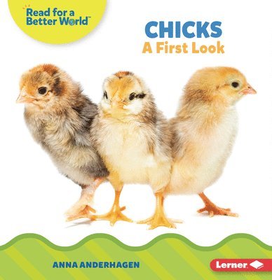 Chicks: A First Look 1