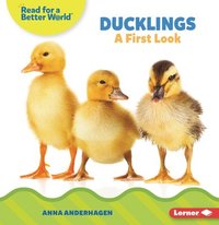 bokomslag Ducklings: A First Look