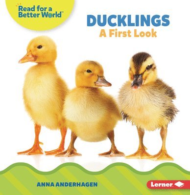 Anna Anderhagen - Ducklings: A First Look, Häftad