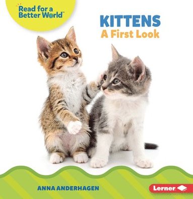 bokomslag Kittens