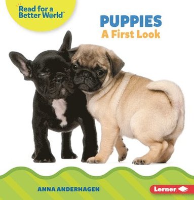 bokomslag Puppies