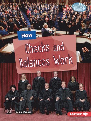 bokomslag How Checks and Balances Work