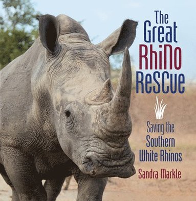 bokomslag The Great Rhino Rescue