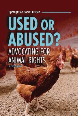 bokomslag Used or Abused?: Advocating for Animal Rights