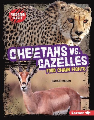 Cheetahs vs. Gazelles: Food Chain Fights 1