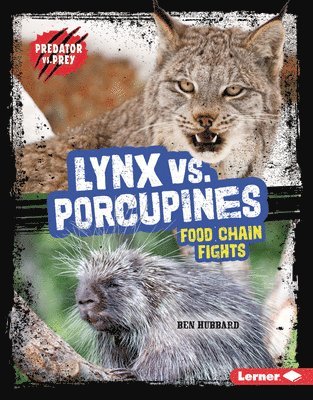 bokomslag Lynx vs. Porcupines: Food Chain Fights