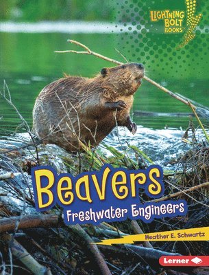 bokomslag Beavers: Freshwater Engineers