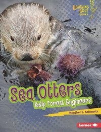 bokomslag Sea Otters