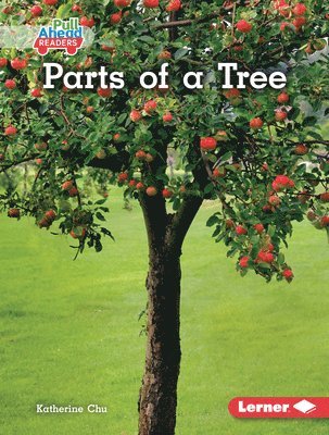 Katherine Chu - Parts of a Tree, Inbunden