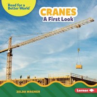 bokomslag Cranes