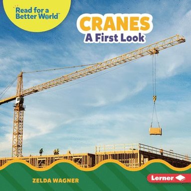 bokomslag Cranes