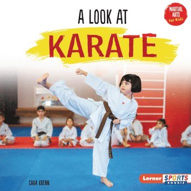 bokomslag A Look at Karate