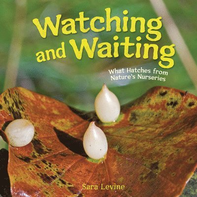 Watching and Waiting: What Hatches from Nature's Nurseries 1