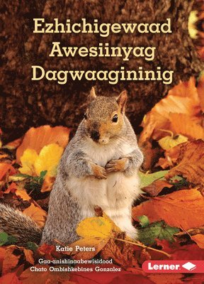 Ezhichigewaad Awesiinyag Dagwaagininig (What Animals Do in Fall) 1