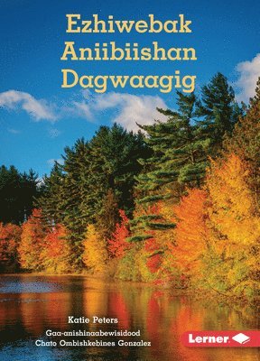 Ezhiwebak Aniibiishan Dagwaagig (Trees in Fall)