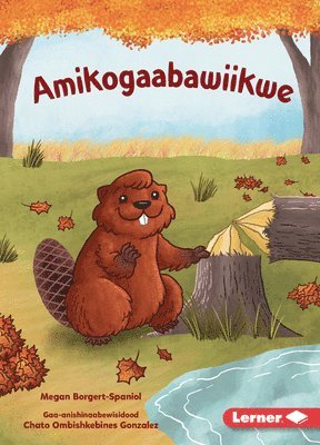 Amikogaabawiikwe (Beaver Bev) 1