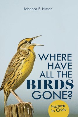Where Have All the Birds Gone? 1