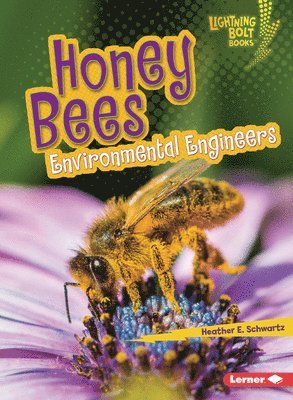Heather E. Schwartz, Heather E Schwartz - Honey Bees: Environmental Engineers, Häftad