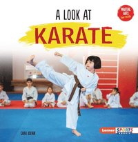 bokomslag A Look at Karate