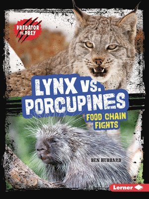 bokomslag Lynx vs. Porcupines: Food Chain Fights