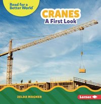 bokomslag Cranes: A First Look