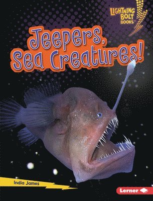 bokomslag Jeepers, Sea Creatures!