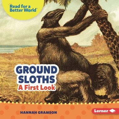 bokomslag Ground Sloths