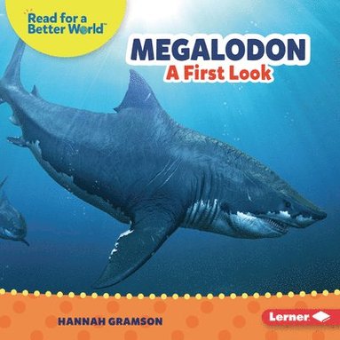 bokomslag Megalodon: A First Look