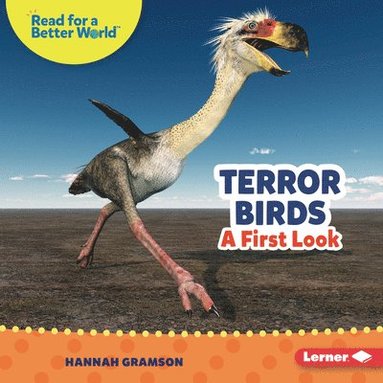 bokomslag Terror Birds